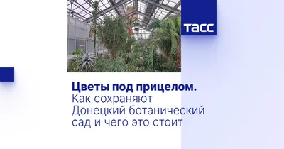 Экскурсия в Донецкий ботанический сад - Донбасская национальная академия  строительства и архитектуры