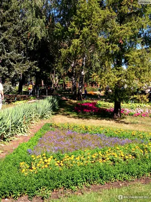 File:2021-06-20. Донецкий ботанический сад DSC 2522.jpg - Wikimedia Commons