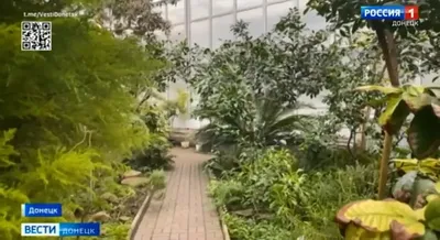 Фото: Донецкий ботанический сад, парк культуры и отдыха, просп. Ильича,  110, Донецк — Яндекс Карты