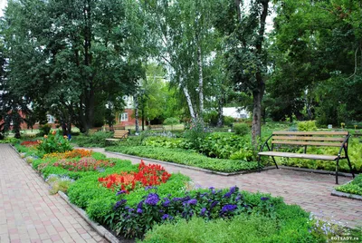 Ботанический сад, Донецк - «Чудесное место для отдыха в Донецке.» | отзывы
