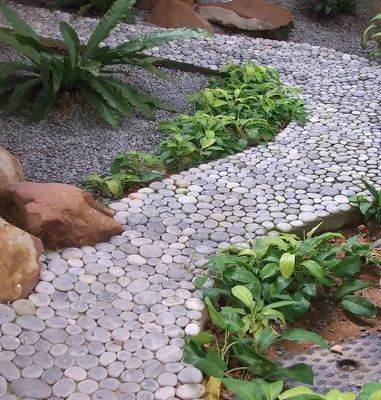 Дорожка из бетона под камень | Garden stepping stones, Diy garden, Stepping  stones diy