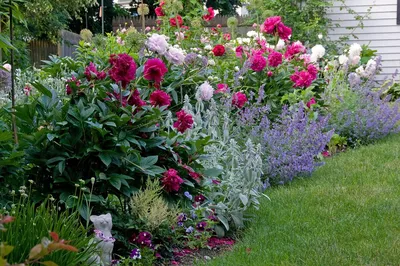 hortus_ru — LiveJournal