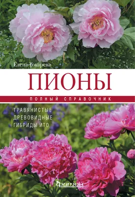 Саженцы древовидных пионов купить в Москве по низкой цене - питомник Колом  Сад