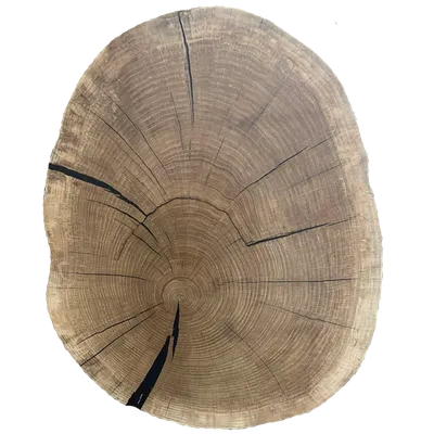 Древесина дуба в продольном разрезе, красивая текстура заполнила с отказами  и узлами, предпосылкой Стоковое Изображение - изображение насчитывающей  треснуто, раздел: 135826205
