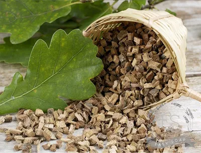 Дуб (кора) - Алтайские лечебные травы купить с доставкой оптом и в розницу  | Травы Алтая