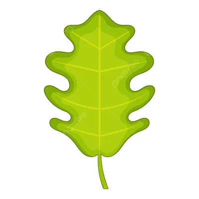 Free: Oak leaf cluster Tree Leaflet Autumn leaf color, Leaf transparent  background PNG clipart - nohat.cc