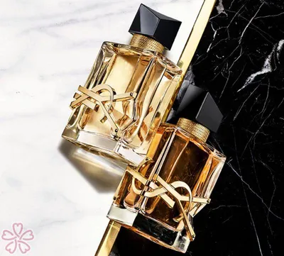 Купить Yves Saint Laurent (Ив сен Лоран) L'Elixir Eau de Parfum (EdP)  Парфюмерная вода Manifesto, 50 мл в интернет-магазине Diskontshop.eu  Германия всего за 15 233 руб. в