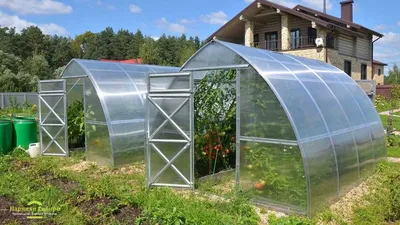 Расположение теплицы на участке, где поставить теплицу