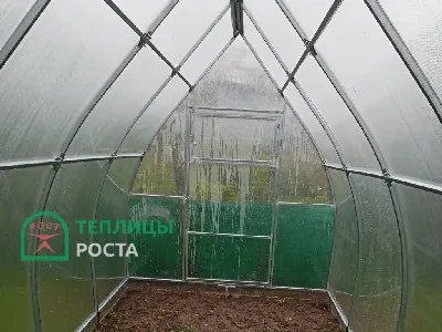 Красивые теплицы и парники, фото и идеи для необычной теплицы на даче  своими руками, дизайн теплицы | Houzz Россия