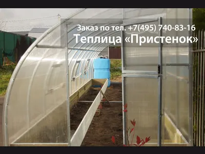 Теплица: какие виды бывают, сколько стоят, как выбрать
