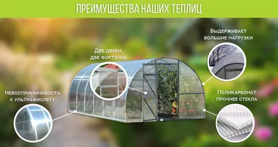 Как правильно выбрать место для теплицы из поликарбоната • Мир Поликарбоната