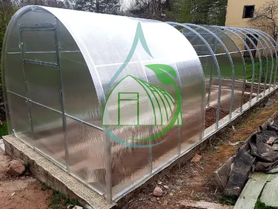 Купить теплицу из поликарбоната, цены на поликарбонатные теплицы в Киеве |  ДомФасад