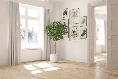 Межкомнатные двери цвета беленый дуб в интерьере — новый тренд - читайте в  блоге Door Loft