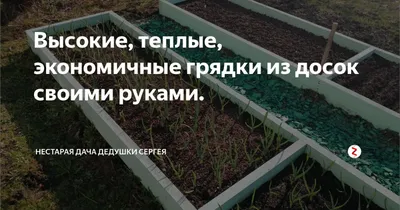 Оформление грядок: идеи, варианты, советы | Дачные советы от PartPrice.ru |  Дзен