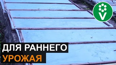 Грядки: какие бывают, как сделать, чем огородить
