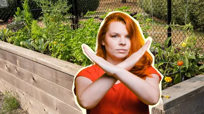 Как сделать теплые грядки - советы дачникам - Лайфхаки для сада и огорода |  Сегодня