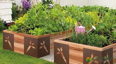 Удобные грядки: 5 простых решений | Agro-Market