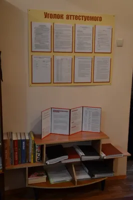 Сады «Акварелька» и «Винни-Пух» прошли приемку - ВЕСТИ / Тамбов