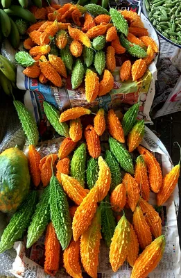 Как растут экзотические фрукты, овощи и пряности (32 фото)
