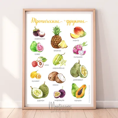 Поставщик экзотических фруктов