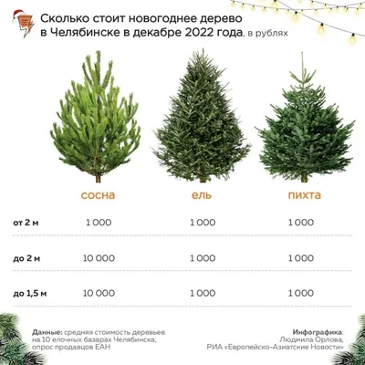 Ель, сосна или пихта: обзор новогодних базаров в Челябинске