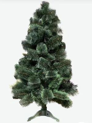 Ель (елка, сосна) Канадская 3 метра купить в Минске - Доступная цена