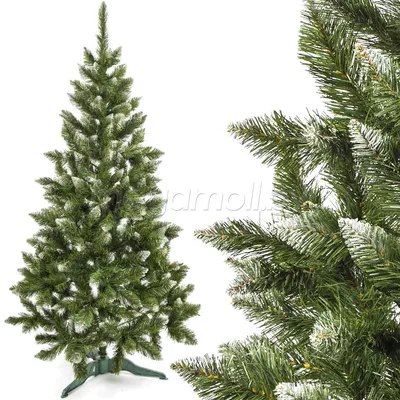Ель (елка, сосна) Канадская с зелеными кончиками (концами) 2,2 метра купить  по доступной цене в Минске