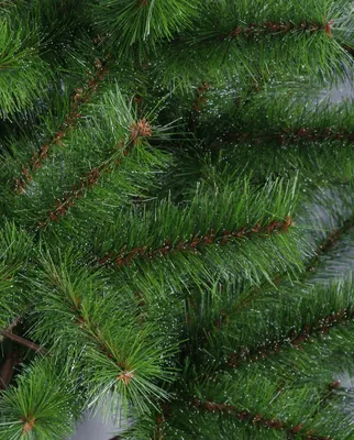 Новогодняя елка Сосна искусственная Натуральная 2,5 м (250 см)  (ID#559421344), цена: 5664 ₴, купить на Prom.ua