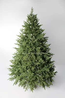 Forest Market Искусственная елка HOLIDAY SPECIAL PINE 150 см купить в  Москве, СПб, Новосибирске по низкой цене