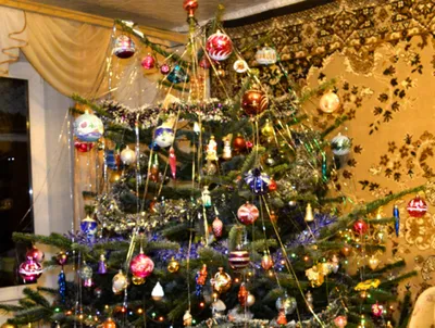 Активисты проекта «Детки кремлевской елки» подарят главной новогодней  красавице страны вторую жизнь