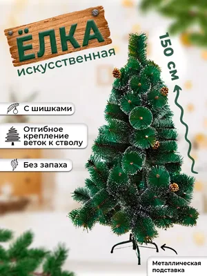 Сосна крымская — Купить с доставкой в Москве | Интернет-магазин Елки-Ели