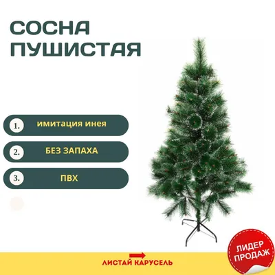 Сосна Хилтон 190 см - голубая елка литая цена со скидкой