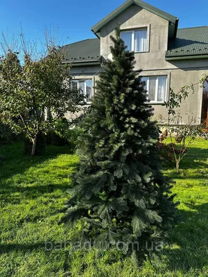 СКАЗКА С-ПЭТ сосна искусственная с инеем, шишками 180cм