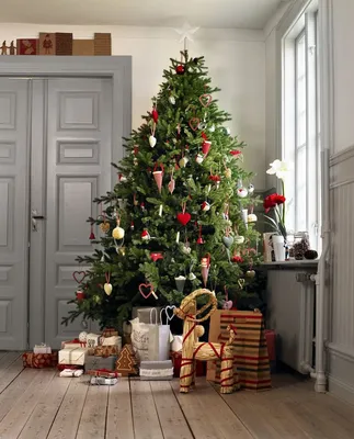 ФОТО ⟩ Идеи: пора подумать о выборе и украшении рождественской елки