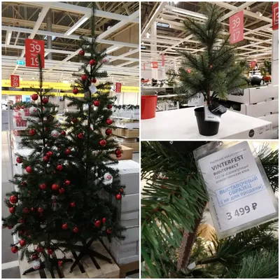 Купить IKEA VINTERFINT(305.240.78) искусственная новогодняя елка вход/выход  зеленый лучшая цена — PlMebli