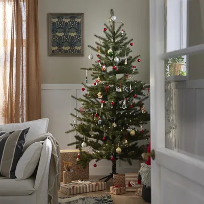 Искусственное растение в горшке IKEA ВИНТЕРФИНТ, внутрь, за пределами,  Рождественская елка зеленый, 12 см, (ID#2013339376), цена: 575 ₴, купить на  Prom.ua