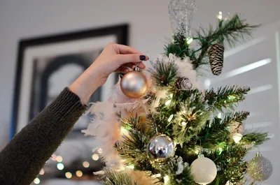 Стеклянная ёлочная игрушка «Пачка денег» из коллекции Holiday Classics —  купить в интернет-магазине.
