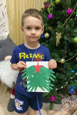 Елка на ладони🎄... - Эко елка стабилизированный мох | Facebook