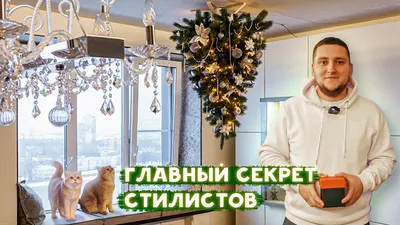 8 веселых и практичных способов защитить свою елку от котов — Roomble.com