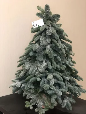 Искусственная елка Буковельская зеленая 230 см - настоящая красавица для  новогоднего украшения | Искусственная литая ель