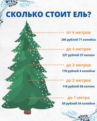Купить живую голубую елку в Москве и Московской области – акции Жми