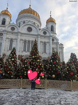 Новогоднее представление в Храме Христа Спасителя, Москва - «Новогодняя ёлка  в Храме Христа Спасителя. Как доехать. Какие места лучше брать с детьми.  Фото сцены с правого балкона. Дополнительные расходы, на которые нужно