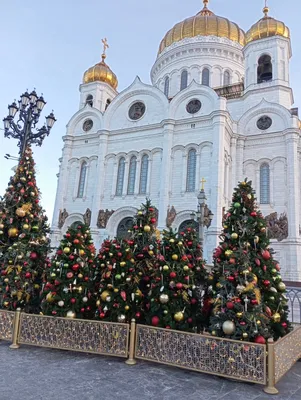 1(16).jpg
