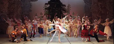 Патриаршая Рождественская елка в Храме Христа Спасителя / Фотоальбомы /  Патриархия.ru