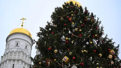 Билеты на Кремлёвскую ёлку 2023-24 \"Письмо Деду Морозу\" - купить билет на  ёлку в Кремле / Новогодняя ёлка в Кремле