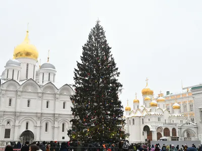 Владикавказ, Республика Северная Осетия-Алания, Сайт газеты Северная  Осетия, В Кремль. На елку!