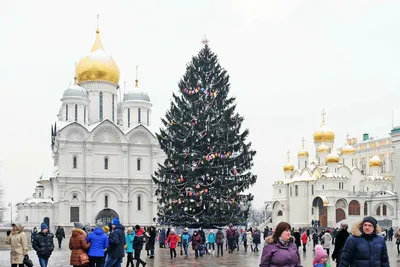 Новогодняя елка в Кремле, Москва - «Идти или не идти, вот в чем вопрос» |  отзывы