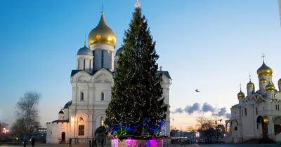 Елка в кремле фото фотографии