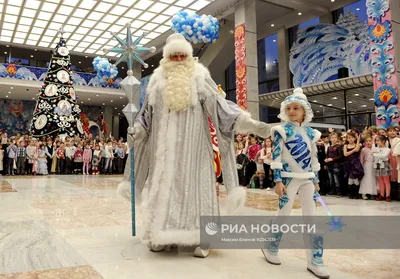 Установленная в Кремле новогодняя елка попала на видео - Мослента