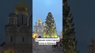 Кремлевская елка 2024: как попасть бесплатно и с билетом